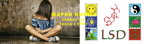 ПСИЛОЦИБИНОВЫЕ ГРИБЫ Алзамай