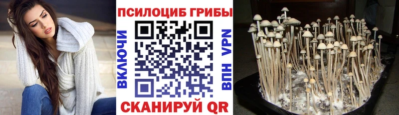 Галлюциногенные грибы мицелий  Подольск 